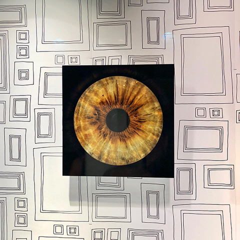 pupille retine iris prise de vue oeil C l'optique lunetorologisterie opticien indépendant strasbourg centre ville alsace bas rhin claude fersing